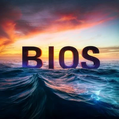 模拟器BIOS下载-一起DIY吧